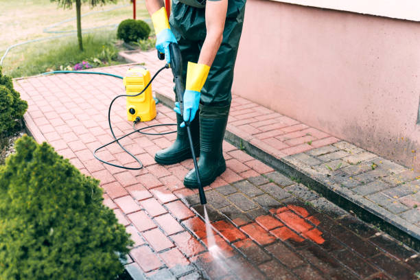 Best Roof Pressure Washing  in Midlothian, IL