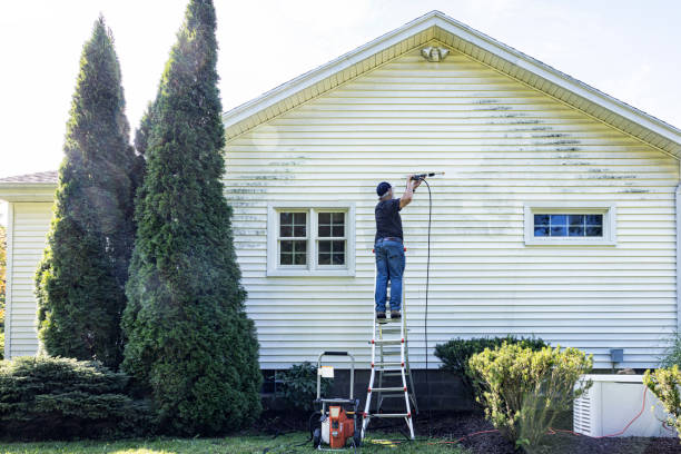Best Roof Pressure Washing  in Midlothian, IL